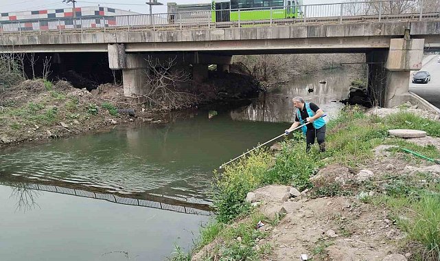 İzmit Körfezi'ne akan 12 dere yakından izleniyor