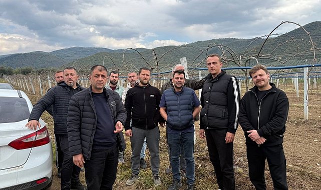 İznik Ovası'nı don vurdu