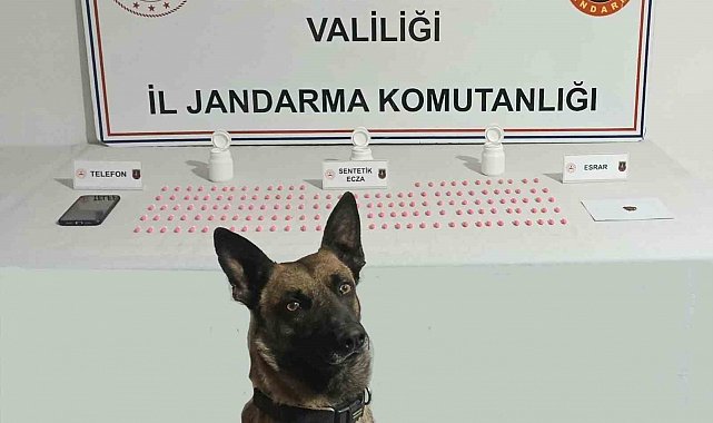 Jandarma uyuşturucu satıcısını yaptığı takiple yakaladı