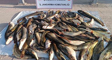 Jandarmadan kaçak avcıya 24 bin lira ceza