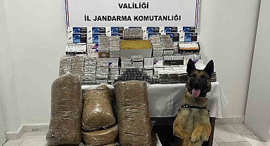 Jandarmadan kaçak makaron operasyonu