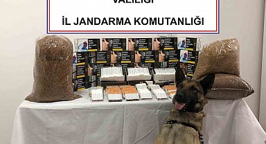 Jandarmadan kaçak makaron operasyonu