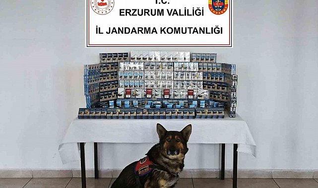 Jandarmadan kaçakçılara geçit yok