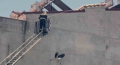 Kabloya dolanan Leyleği itfaiye ekipleri kurtardı