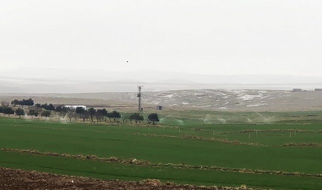 Kaçak elektrikle sulama yağmur yağarken de devam etti