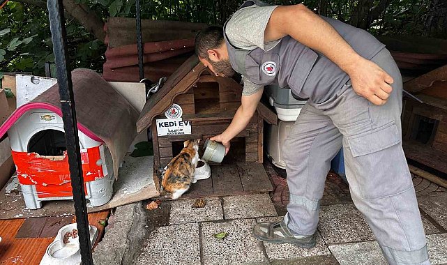 Kağıthane'de bir yılda 10 bin 882 can dost rehabilite edildi