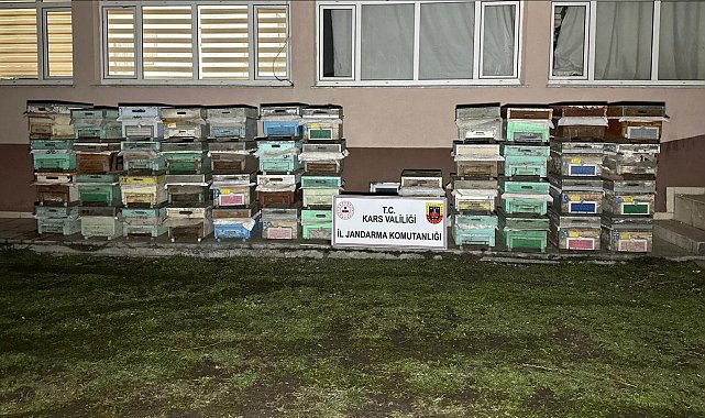 Kağızman'da arı kovanı hırsızları yakalandı