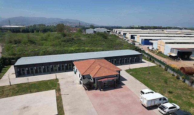 Kahraman köpek Proteo'nun adının yaşadığı merkez, sokak hayvanlarına şifa dağıtıyor