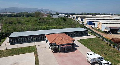 Kahraman köpek Proteo'nun adının yaşadığı merkez, sokak hayvanlarına şifa dağıtıyor