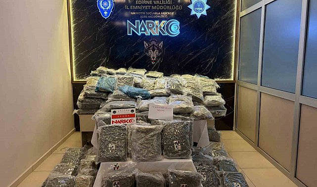 Kapıkule'de operasyonu: 171 kilogram uyuşturucu ele geçirildi, 2 kişi tutuklandı