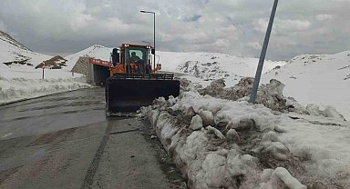 Kar kaplanları Nisan ayında da görevinin başında