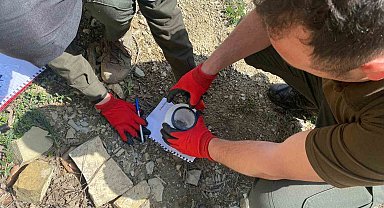 Karaçam ormanlarında çam kabuk böceği ile mücadele