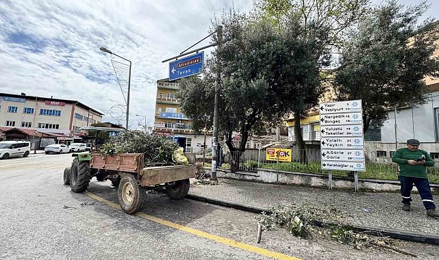 Karacasu'da çevre düzenlemesi devam ediyor
