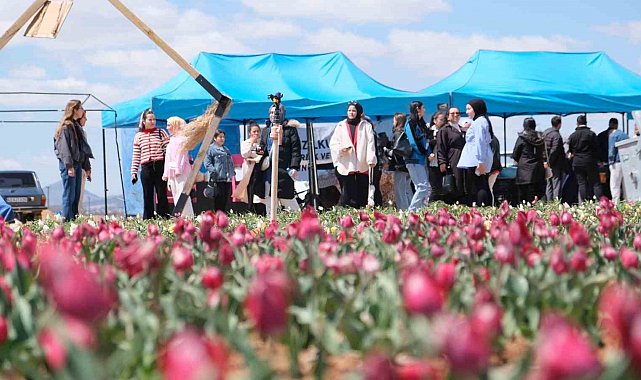 Karaman'da lale tarlasını bu yıl 200 bin kişinin ziyaret etmesi bekleniyor