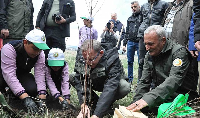 Kars'ta meyve ağaçları toprakla buluştu