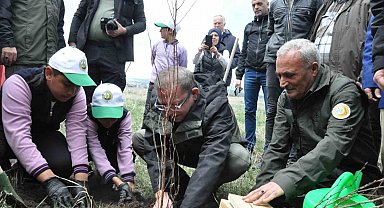 Kars'ta meyve ağaçları toprakla buluştu
