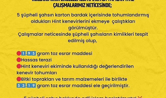 Karton bardağa yerleştirdikleri uyuşturucu tohumlarını ekmeye çalıştılar