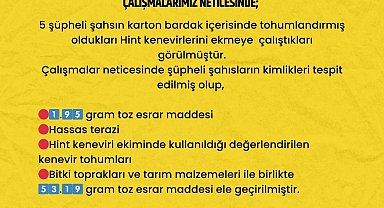 Karton bardağa yerleştirdikleri uyuşturucu tohumlarını ekmeye çalıştılar