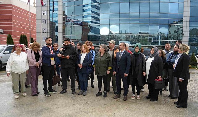 Kastamonu Belediyesi'nin sokak hayvanlarını toplayarak öldürdüğü iddia edildi