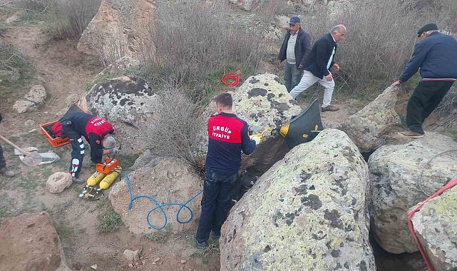 Kayaların arasına sıkışan tosunu itfaiye kurtardı