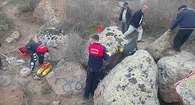 Kayaların arasına sıkışan tosunu itfaiye kurtardı