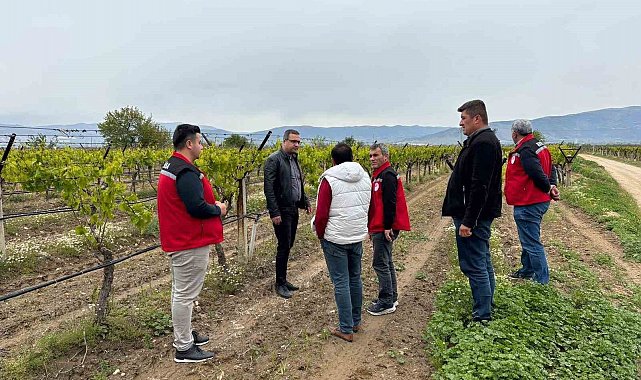 Kaymakam Dalak don zararı gören bağlarda incelemelerde bulundu
