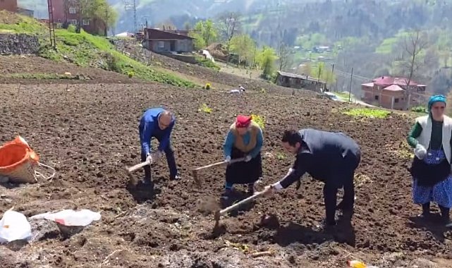 Kaymakam ve belediye başkanı tarlaya girdi, izleyenleri tebessüm ettiren anlar ortaya çıktı