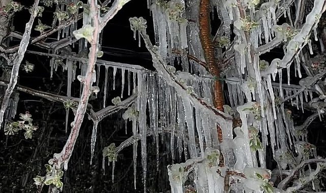 Kayseri'nin ilçelerini don vurdu