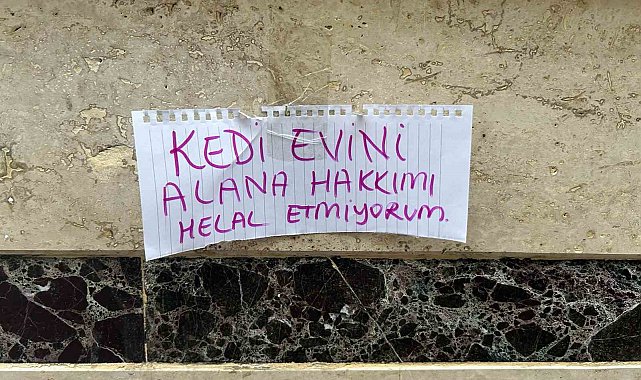 Kedi evini çalanlara hakkını helal etmedi