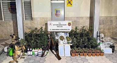 Kenevir yetiştiren şahıslar esrar ve uyuşturucu haplarla yakalandı