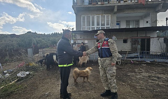 Kilis'te kayıp 26 küçükbaş hayvan ormanlık alanda bulundu