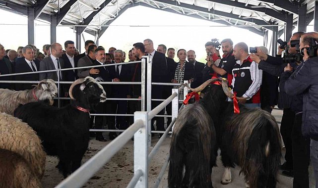 Kıran kırana kurban pazarlıklı pazar açılışı