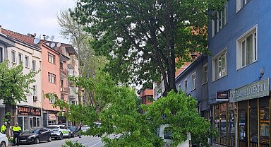 Kırılan ağaç, kamyonetin üzerine devrildi