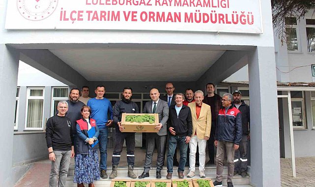Kırklareli'nde üreticilere hıyar fidesi dağıtıldı