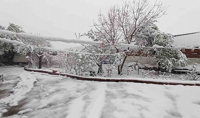 Kış geri geldi: Edirne'de kar yağışı