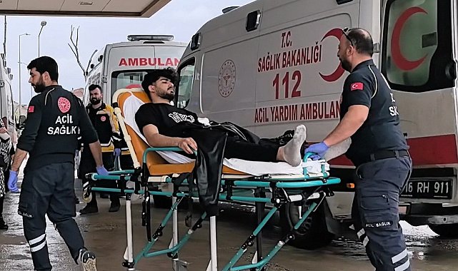 Kontrolden çıkan kamyonet direği devirdi