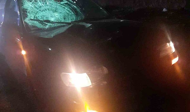 Konya'da otomobilin çarptığı yaşlı kadın hayatını kaybetti