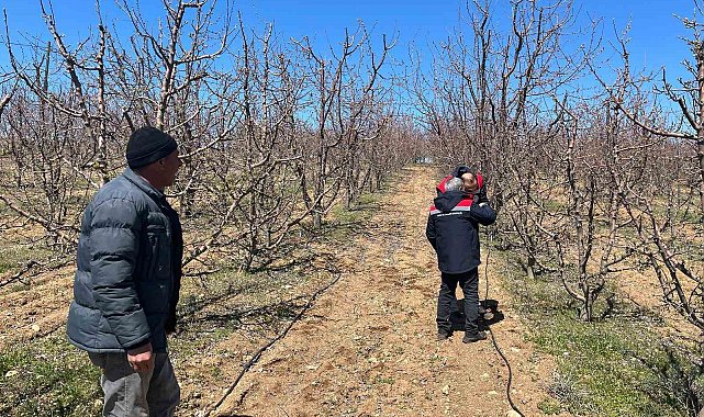 Konya'da yaşanan zirai don için hasar tespitine başlandı