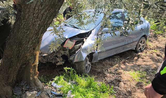 Köpeğe çarpmamak için kaza yaptı