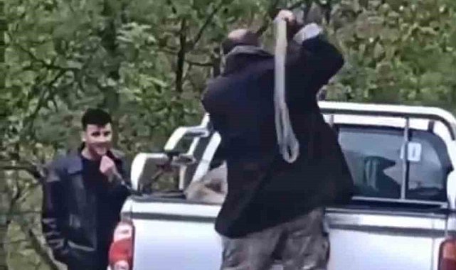 Köpeğe halatla şiddet uygulayan şahıs gözaltına alındı