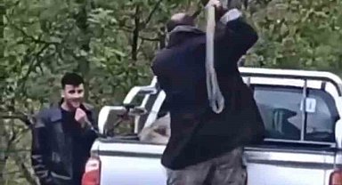 Köpeğe halatla şiddet uygulayan şahıs gözaltına alındı