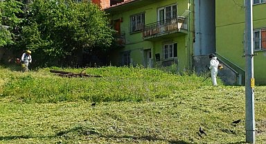 Körfez'de yabani otlarla mücadele sürüyor