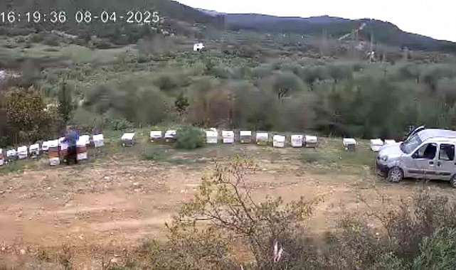 Kovan hırsızı güvenlik kamerasında