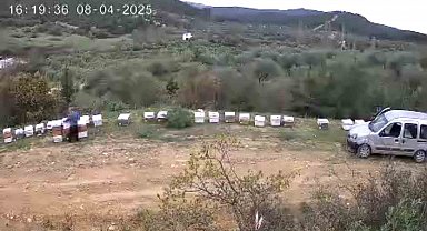 Kovan hırsızı güvenlik kamerasında