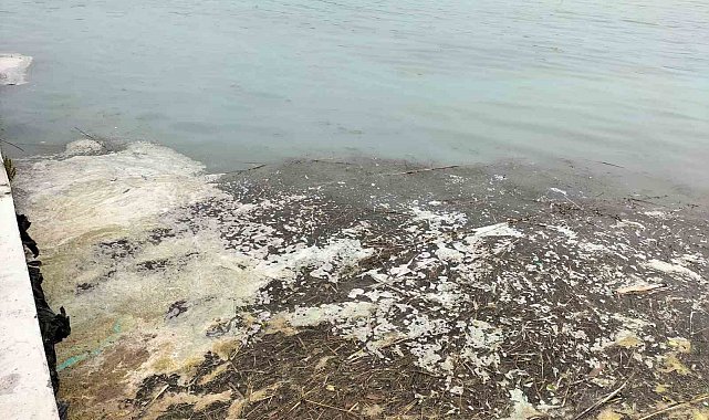 Köyceğiz Gölü'ndeki müsilaj tedirgin etti