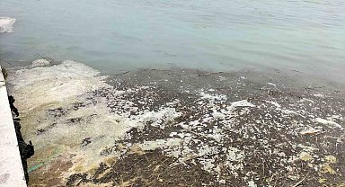 Köyceğiz Gölü'ndeki müsilaj tedirgin etti