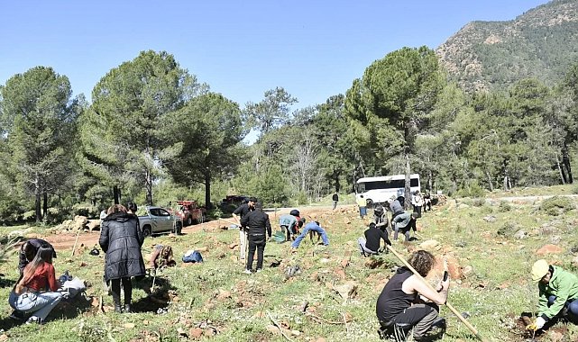 Köyceğiz Tazelenme Üniversitesi öğrencilerinden fidan dikimi etkinliği