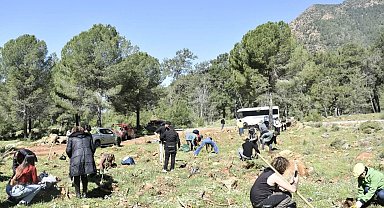 Köyceğiz Tazelenme Üniversitesi öğrencilerinden fidan dikimi etkinliği