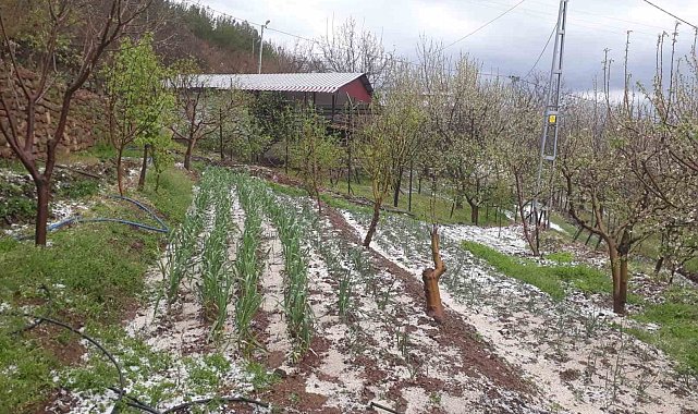 Kozan'da dolu yağışı etkili oldu