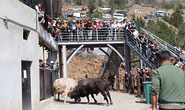 Kral ile Ateş arenaya sığmadı